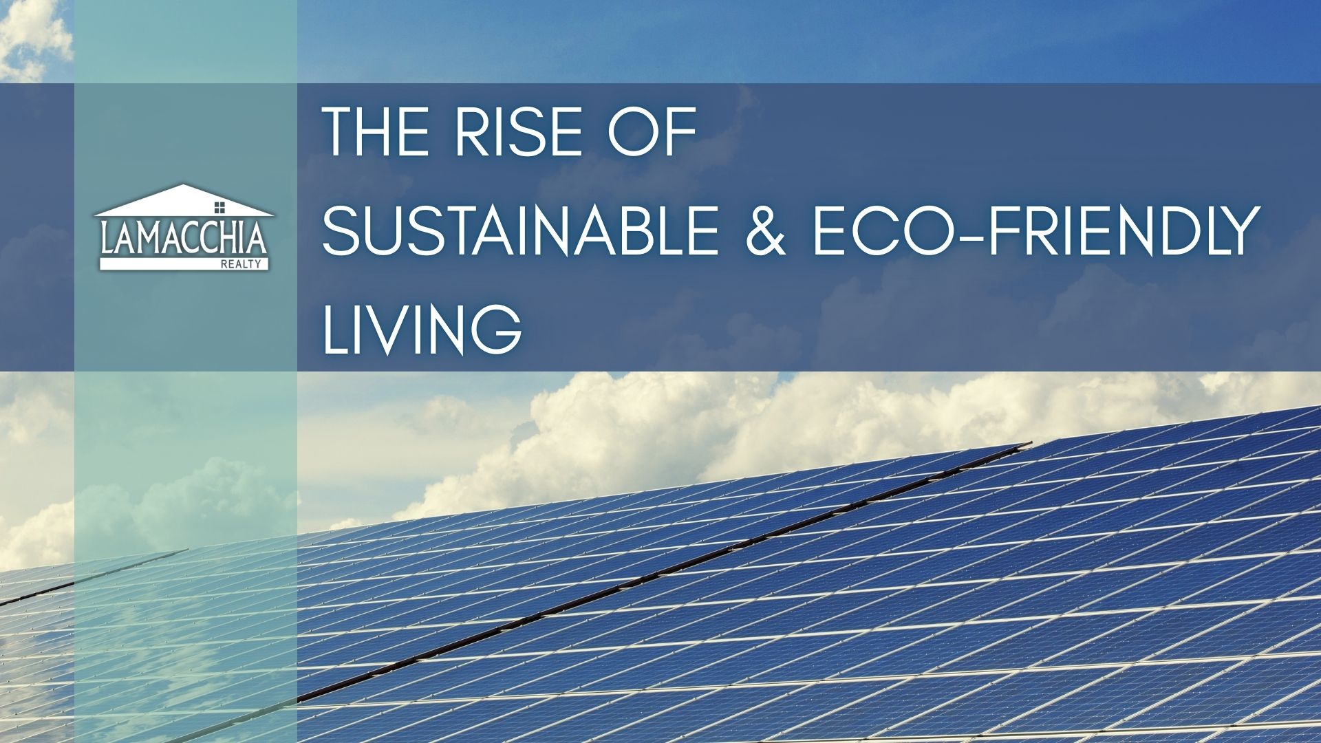 The Rise of Sustainable & Eco-Friendly Living blog fi 0325